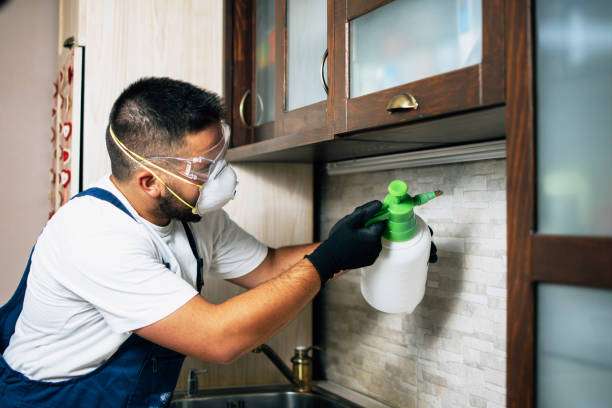Best Termite Control Services  in Whitehall, MI