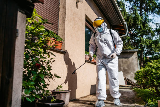 Best Pest Control for Businesses  in Whitehall, MI