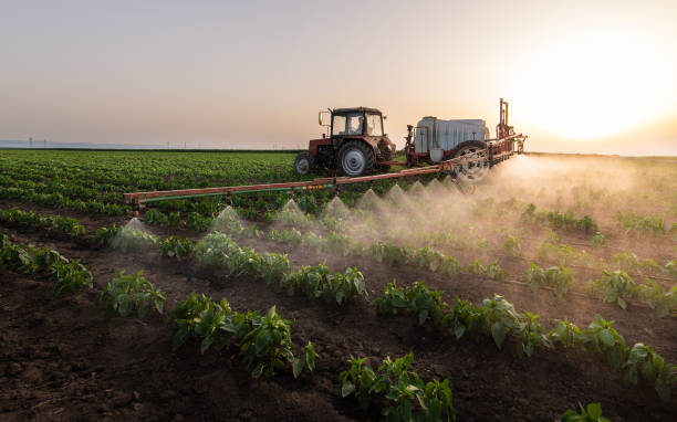 Best Mosquito Control Services  in Whitehall, MI