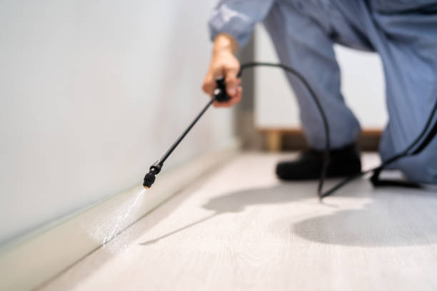 Best Best Pest Control Companies  in Whitehall, MI