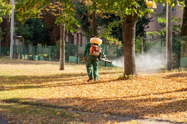 Best Spider Control Near Me  in Whitehall, MI