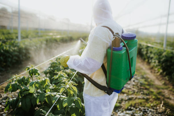 Best Affordable Pest Control Services  in Whitehall, MI